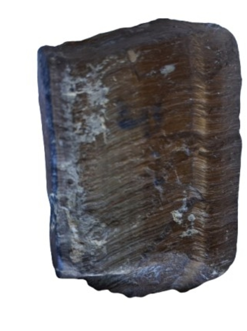 The stone is a raw Tiger's Eye, a metamorphic rock prized For Gold To Red Brown.